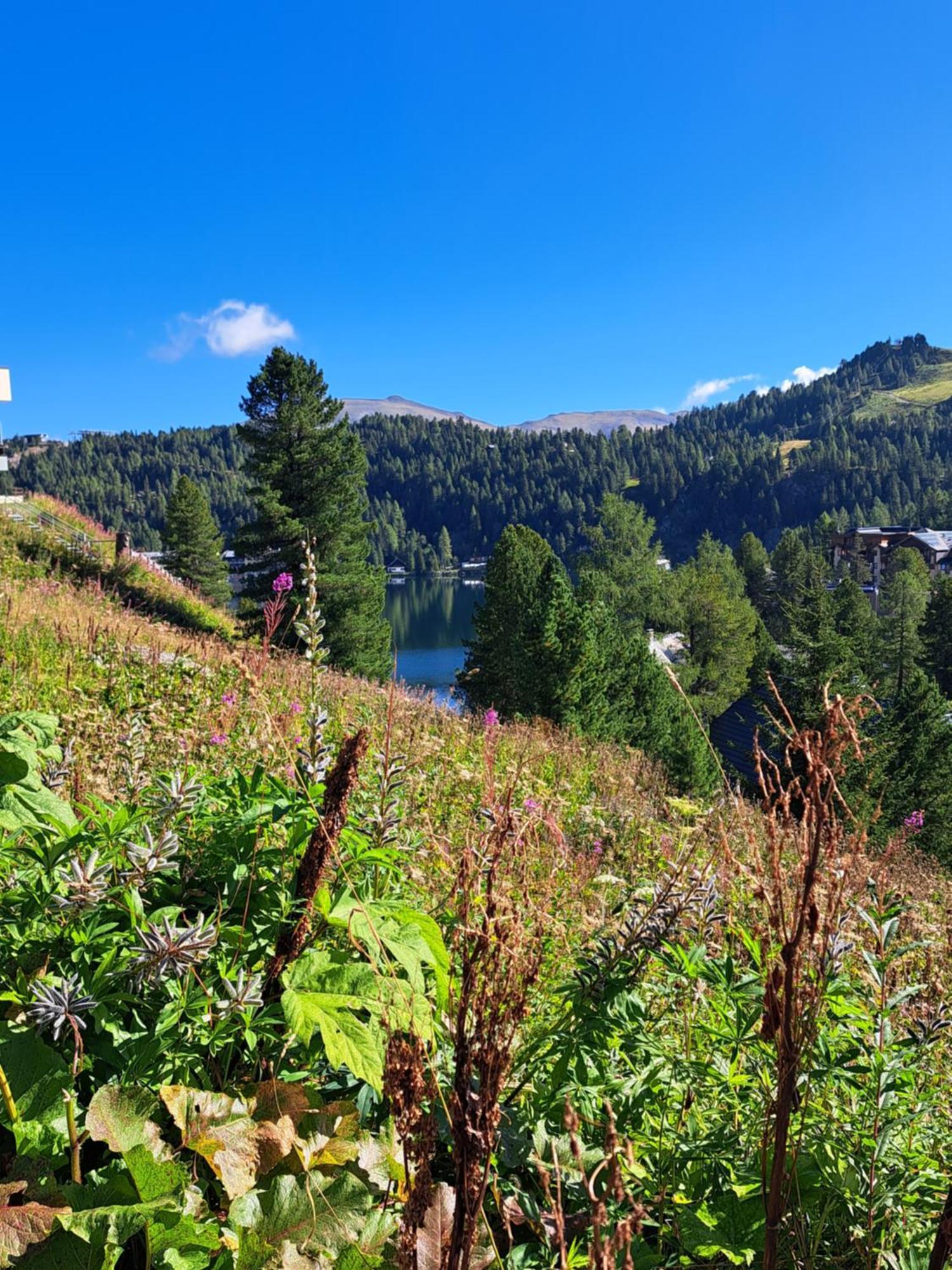 Schwabenhuette Villa Sirnitz-Sonnseite Luaran gambar